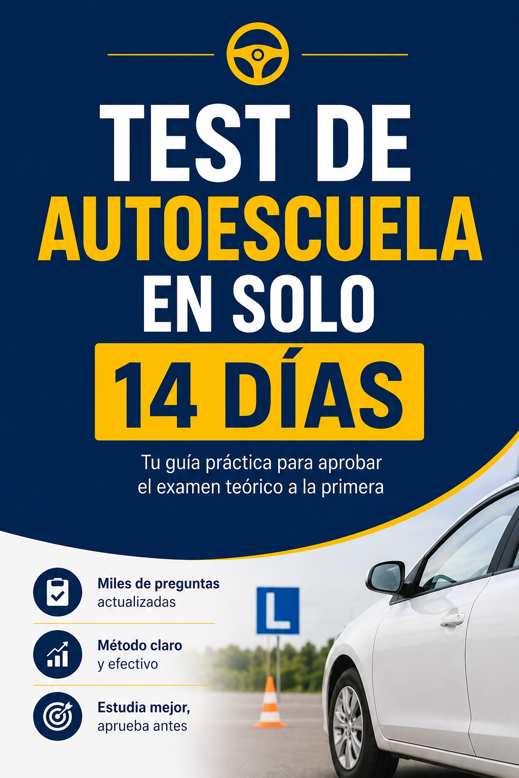 Teórico en 14 dias (Ebook)